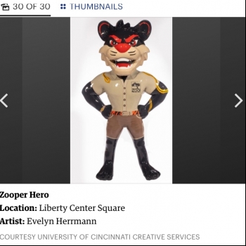 Hero Bearcats