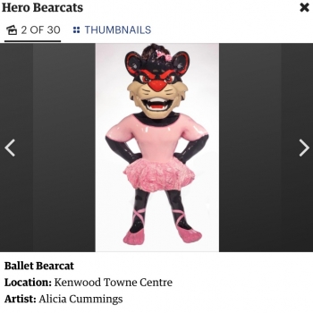 Hero Bearcats