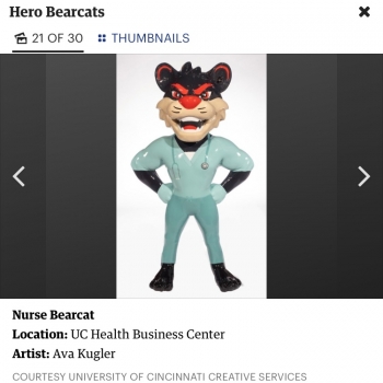 Hero Bearcats