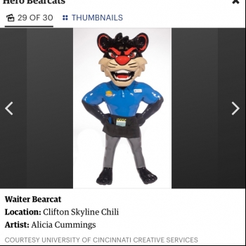 Hero Bearcats