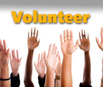 Volunteer