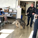 K9